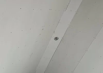 House Painting