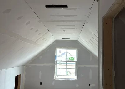 Professional Painter